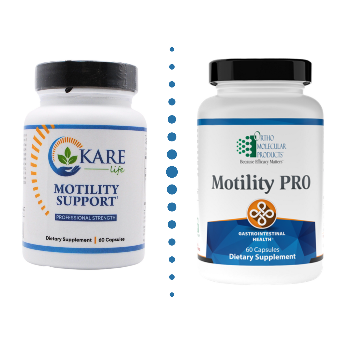 Motility Support