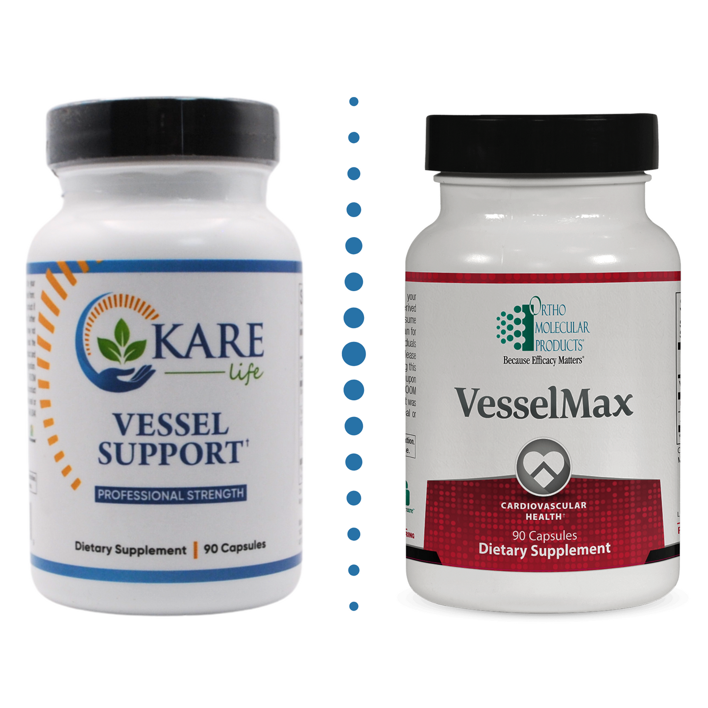 Vessel Support